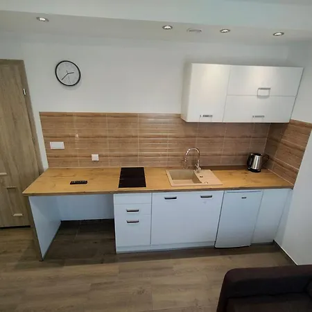 Turystyczna Przystan Apartment *